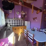 佩里特角落公寓 *
